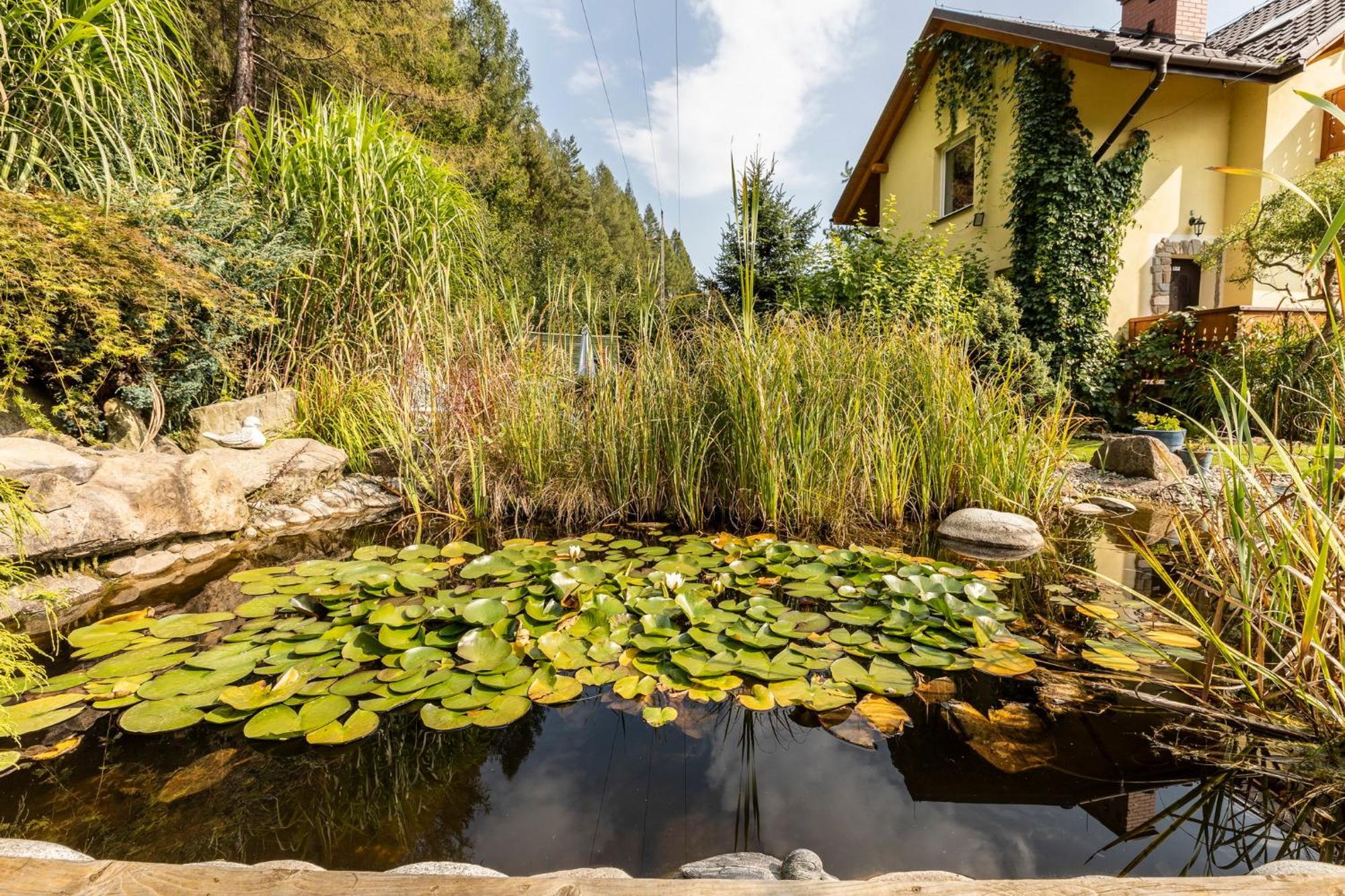 Apartamenty Zielona Owieczka Niedzica Zamek Exterior foto