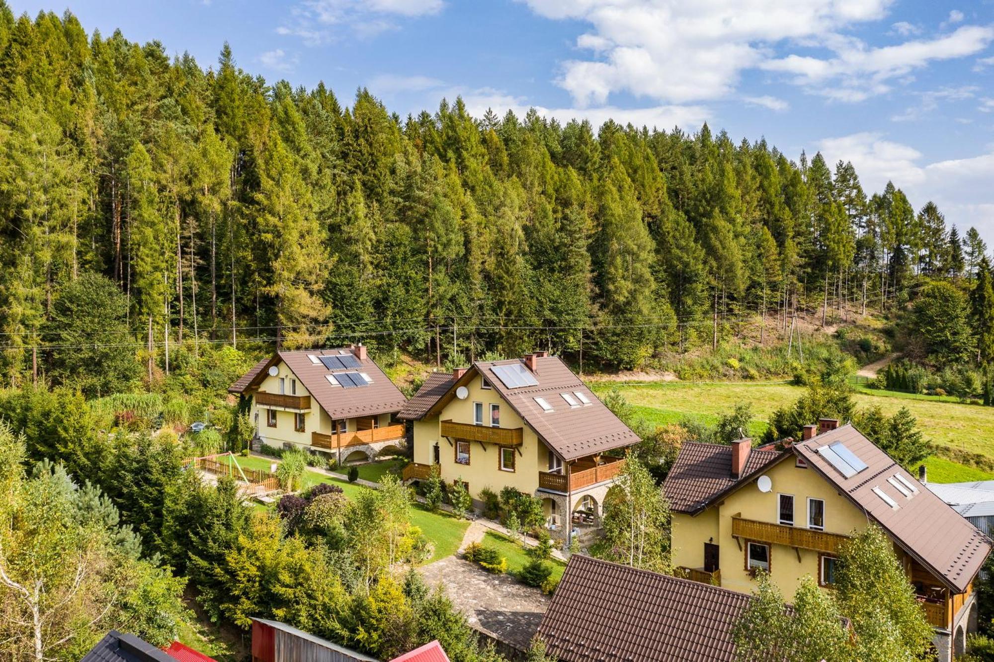 Apartamenty Zielona Owieczka Niedzica Zamek Exterior foto